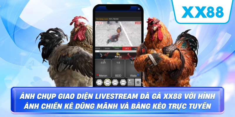 Đá Gà XX88 – Đỉnh Cao Giải Trí Và Cá Cược Trực Tuyến - sapg