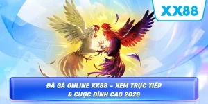 Tin Tức XX88 – Cập Nhật Kèo Cược Và Ưu Đãi Mới Nhất - sapg