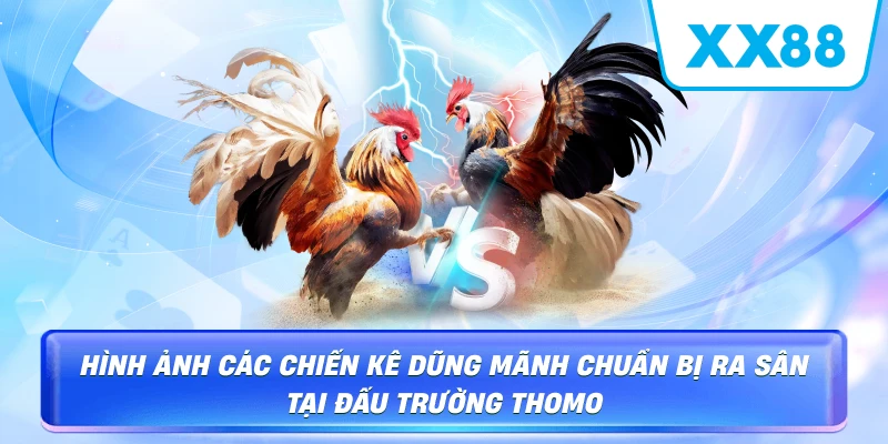 Đá Gà Online – Trải Nghiệm Giải Trí Kịch Tính Và Uy Tín Tại XX88 - sapg