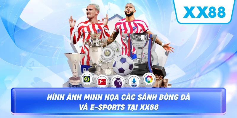 Thể Thao XX88 – Sảnh Cược Đẳng Cấp & Tỷ Lệ Odds Cao 2026 - sapg